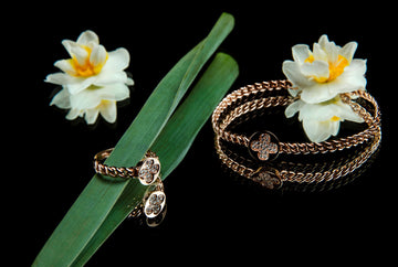 Brille sans Bruit - Signature