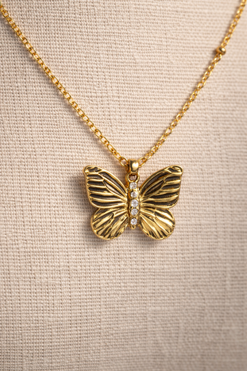 Ensemble Papillon Éternel